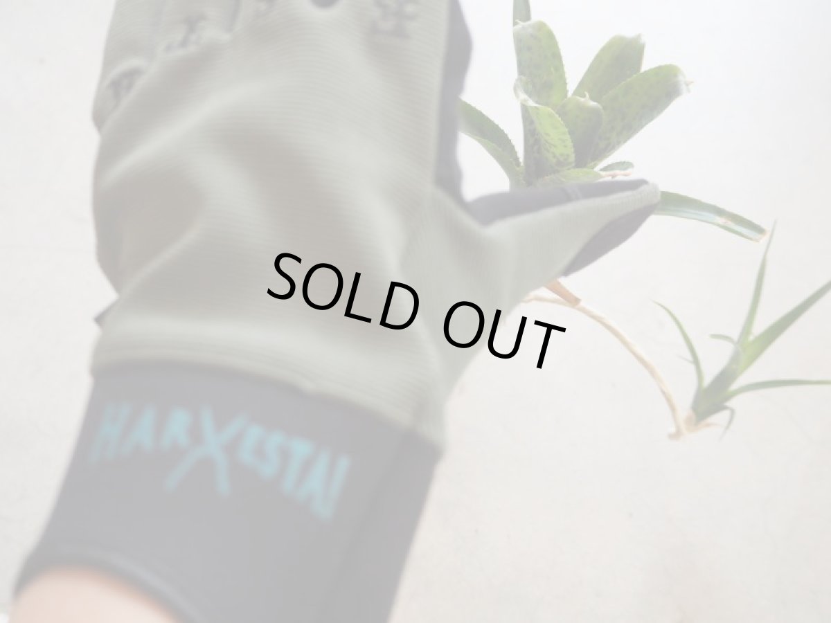 画像5: HARVESTA!HABICOL　農園芸グローブGRIPSWANY（グリップスワニー）オリーブ (5)