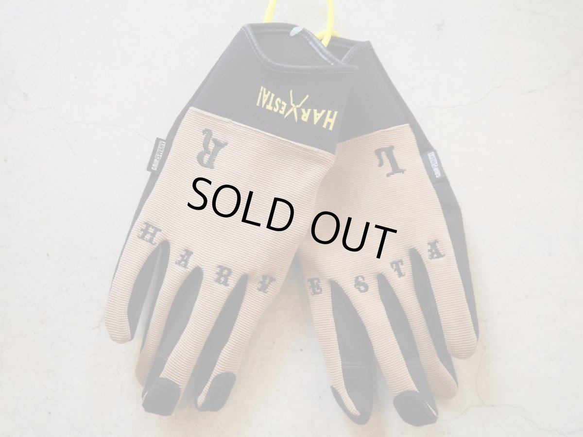 画像3: HARVESTA!HABICOL　農園芸グローブGRIPSWANY（グリップスワニー）ベージュ (3)