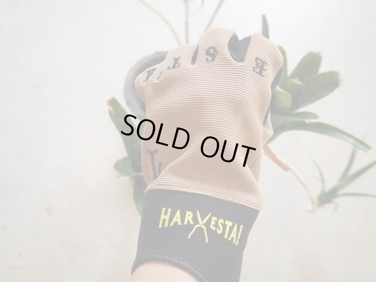 画像2: HARVESTA!HABICOL　農園芸グローブGRIPSWANY（グリップスワニー）ベージュ (2)