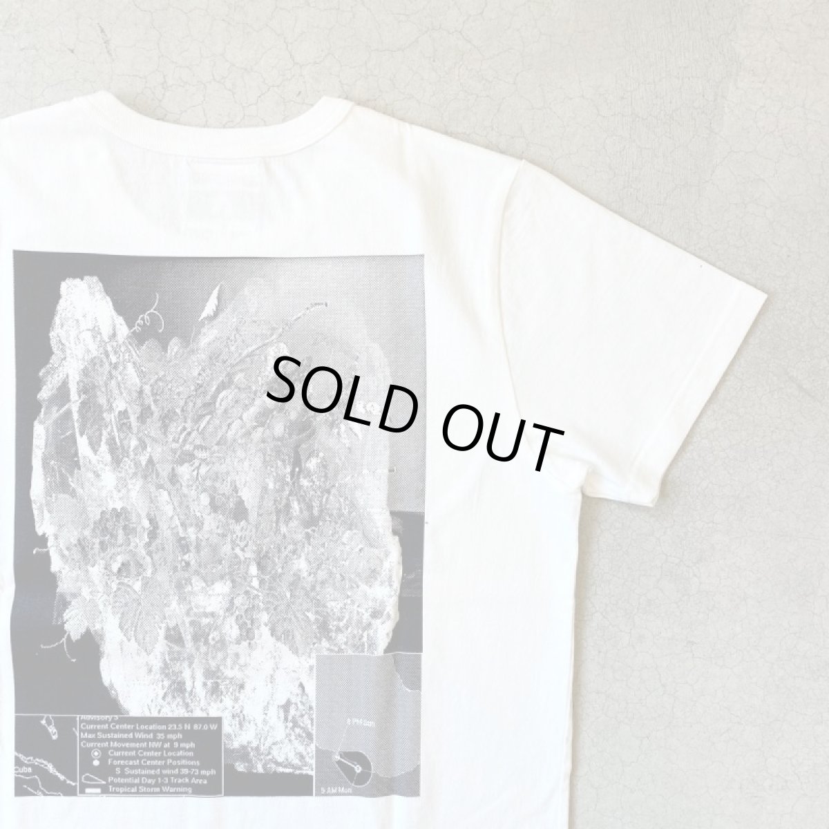 画像9: 【2色展開】-TACOMA FUJI  RECORDS- Tropical Storm Warning by Satoshi Suzuki (9)