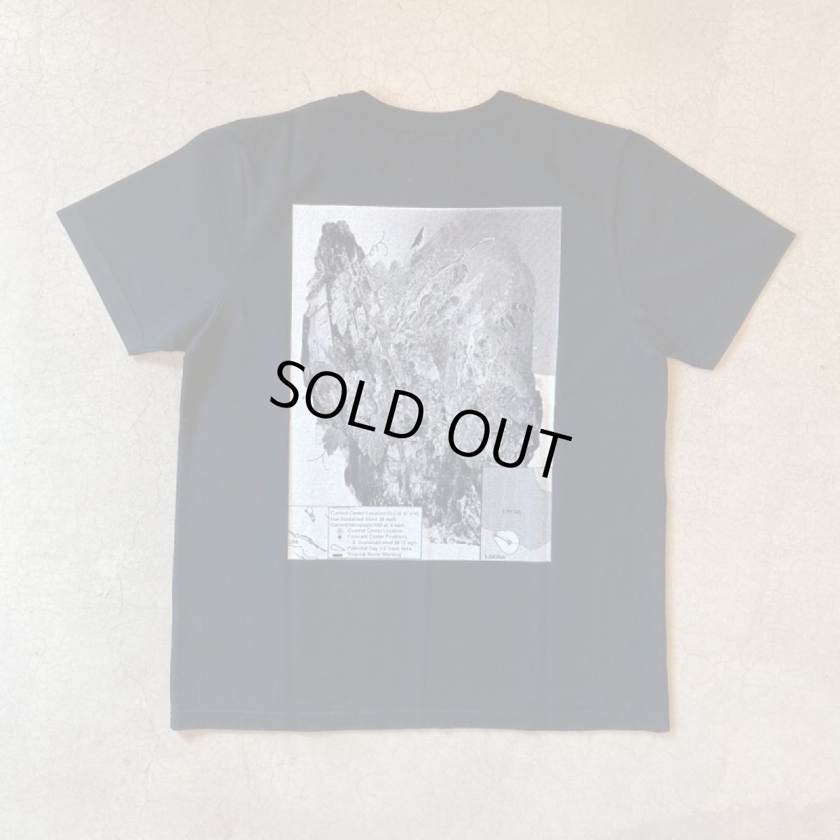 画像4: 【2色展開】-TACOMA FUJI  RECORDS- Tropical Storm Warning by Satoshi Suzuki (4)