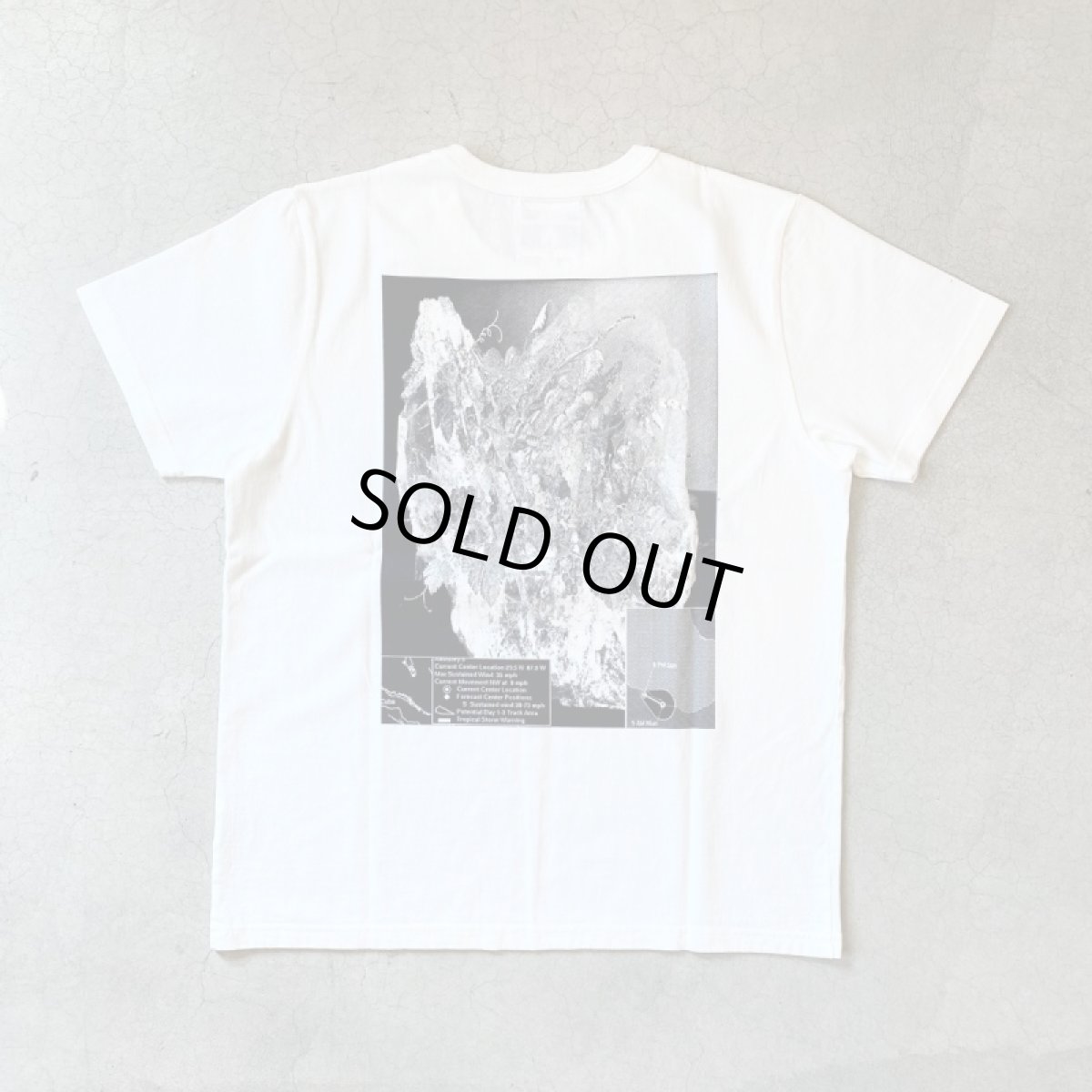 画像8: 【2色展開】-TACOMA FUJI  RECORDS- Tropical Storm Warning by Satoshi Suzuki (8)