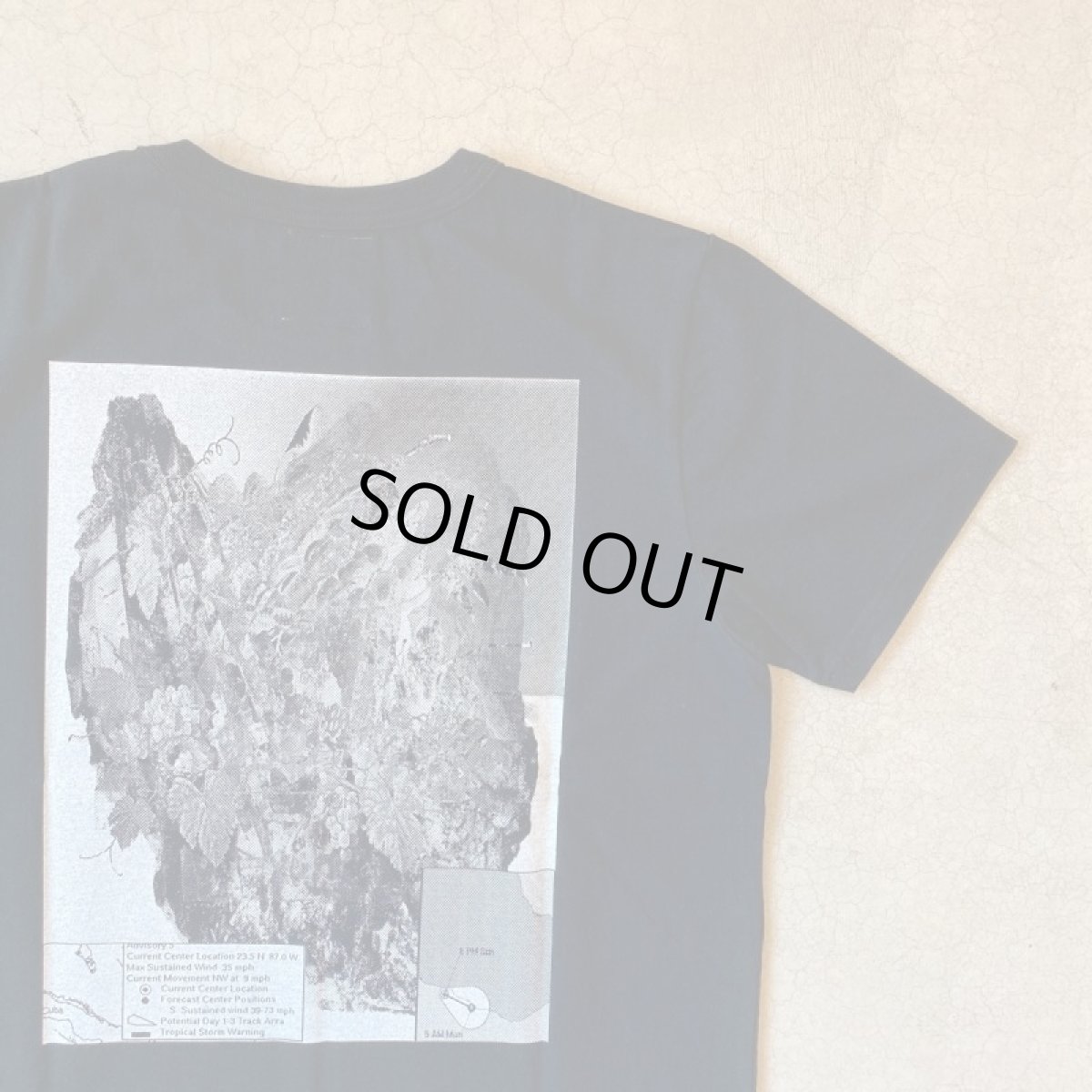 画像5: 【2色展開】-TACOMA FUJI  RECORDS- Tropical Storm Warning by Satoshi Suzuki (5)