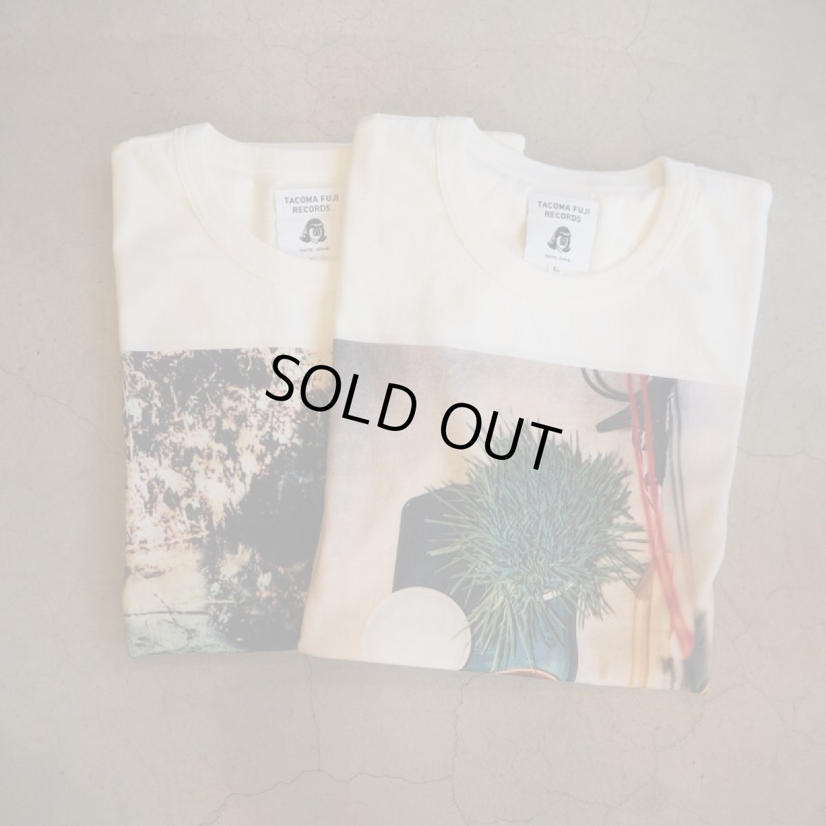 画像5: -TACOMA FUJI  RECORDS-ヒズミ2012 (5)