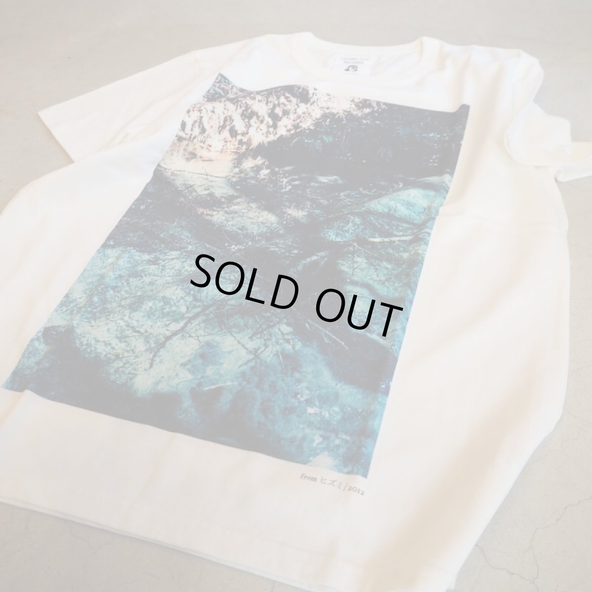 画像4: -TACOMA FUJI  RECORDS-ヒズミ2012 (4)