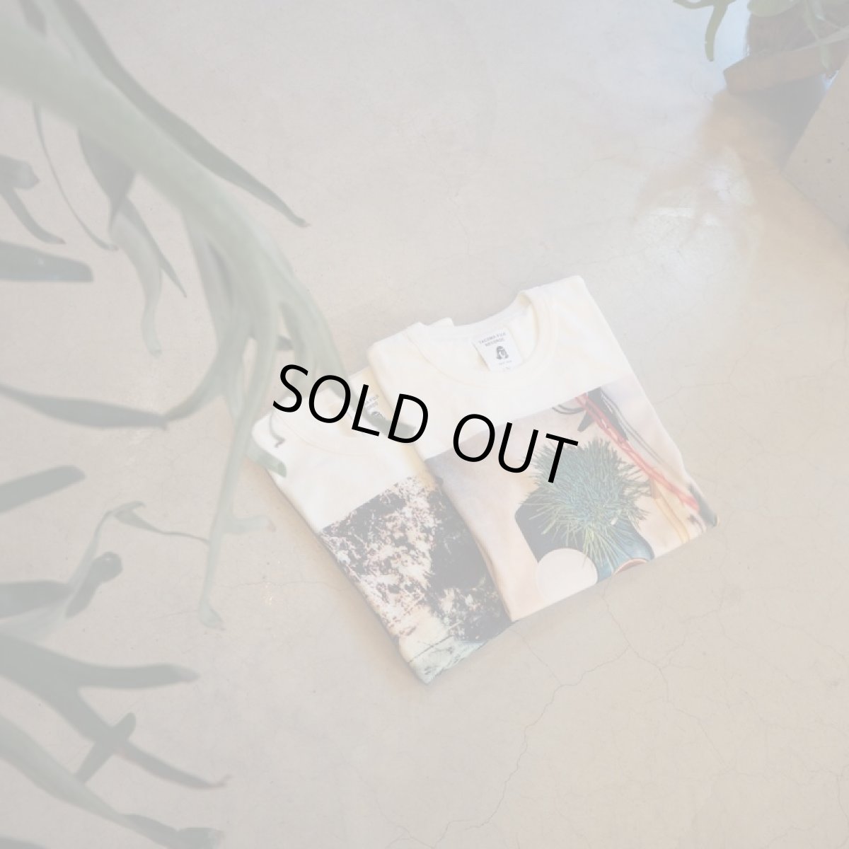 画像5: -TACOMA FUJI  RECORDS-ケのモノ 2008 (5)