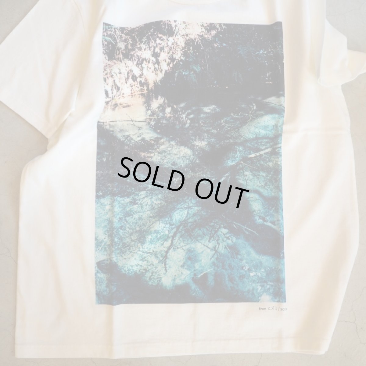 画像2: -TACOMA FUJI  RECORDS-ヒズミ2012 (2)