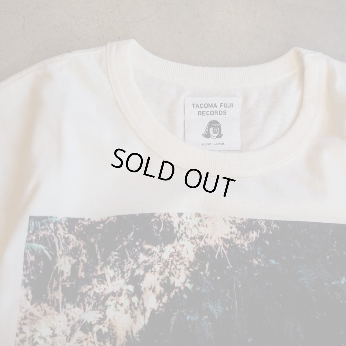 画像6: -TACOMA FUJI  RECORDS-ヒズミ2012 (6)