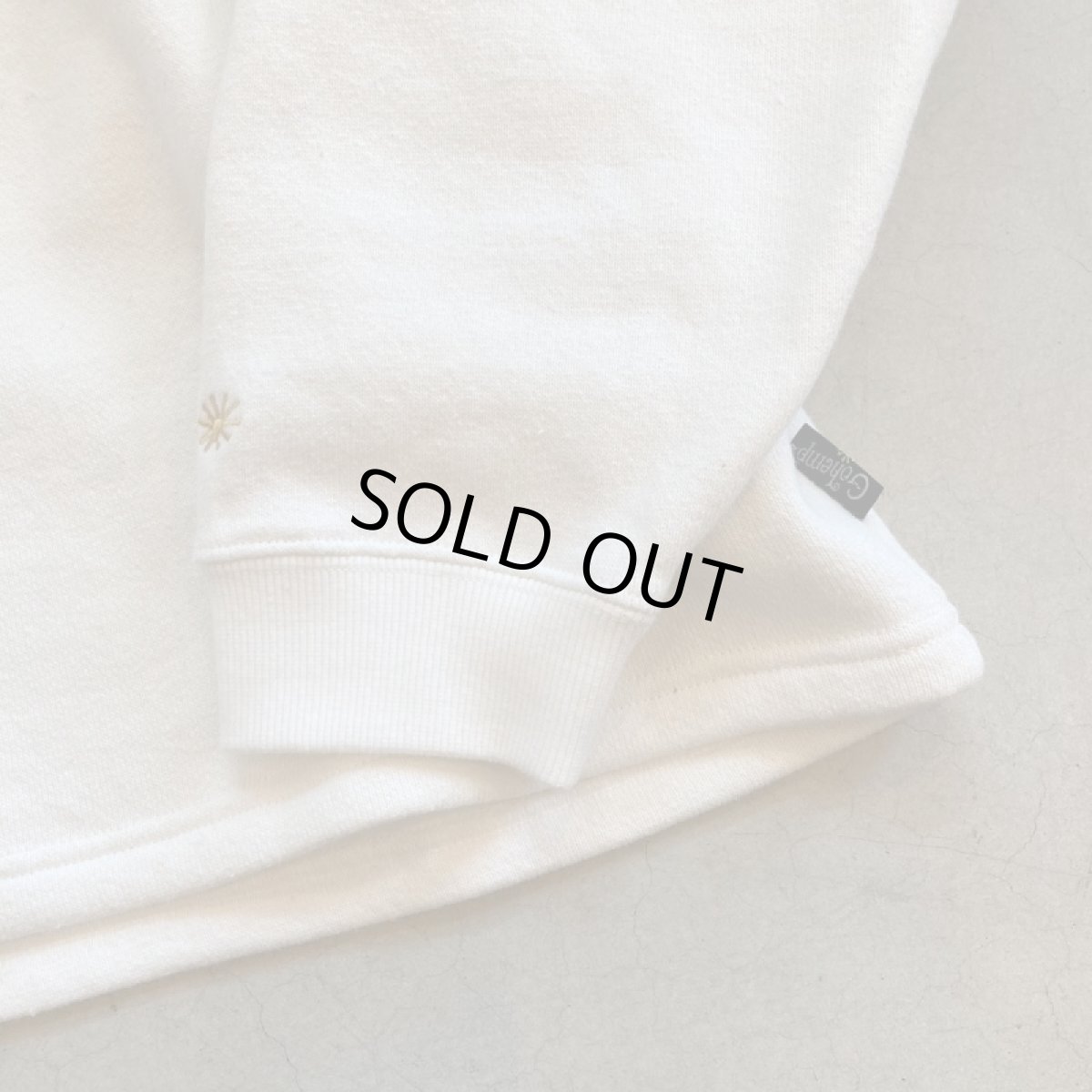 画像6: 【3色展開】-GOHEMP- HEMP BIG CREW (6)