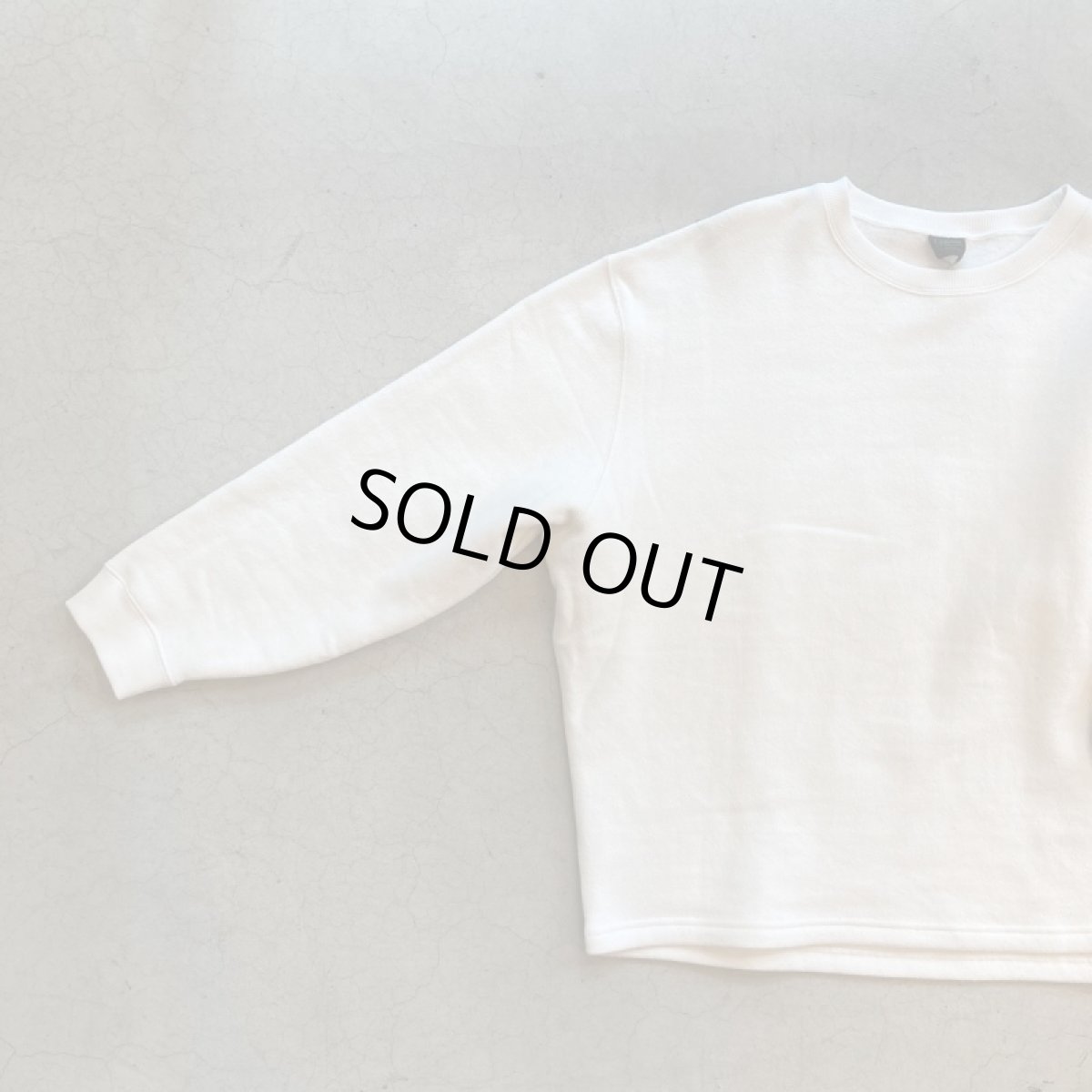 画像3: 【3色展開】-GOHEMP- HEMP BIG CREW (3)