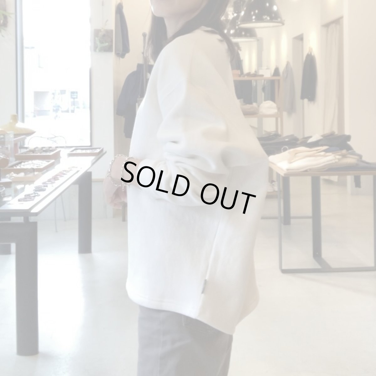 画像10: 【3色展開】-GOHEMP- HEMP BIG CREW (10)