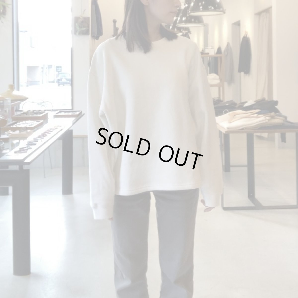 画像12: 【3色展開】-GOHEMP- HEMP BIG CREW (12)