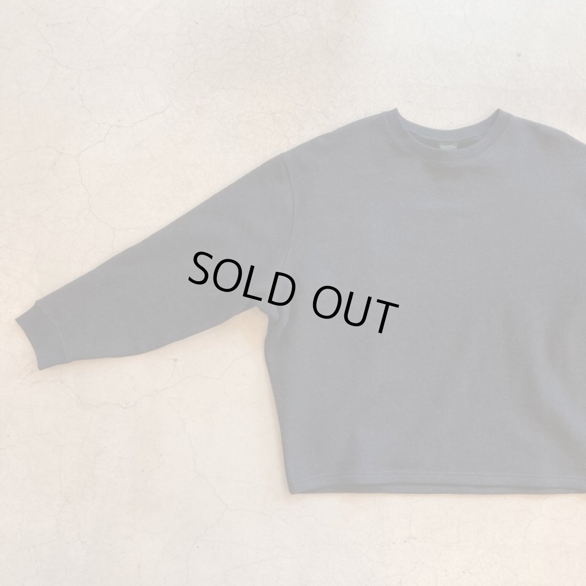 画像4: 【3色展開】-GOHEMP- HEMP BIG CREW (4)