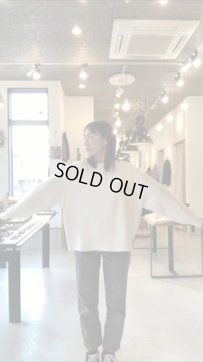 画像11: 【3色展開】-GOHEMP- HEMP BIG CREW (11)