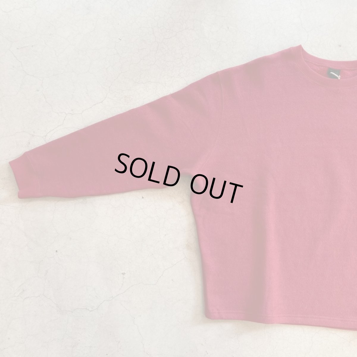 画像2: 【3色展開】-GOHEMP- HEMP BIG CREW (2)