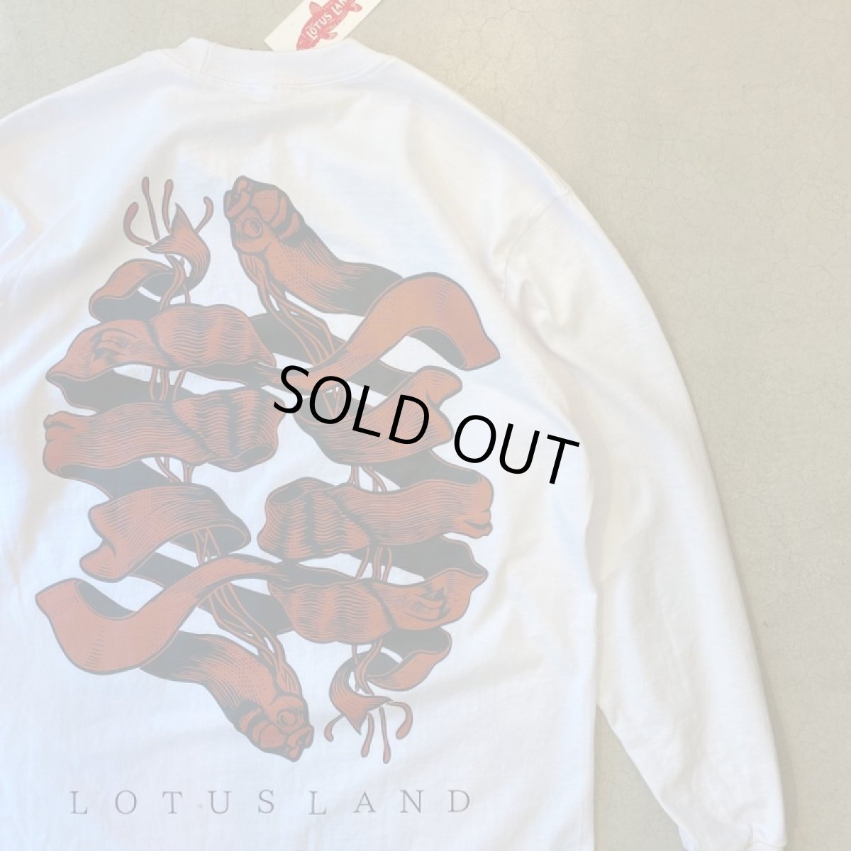 画像5: 【3色展開】-LOTUS LAND- SIREN (5)