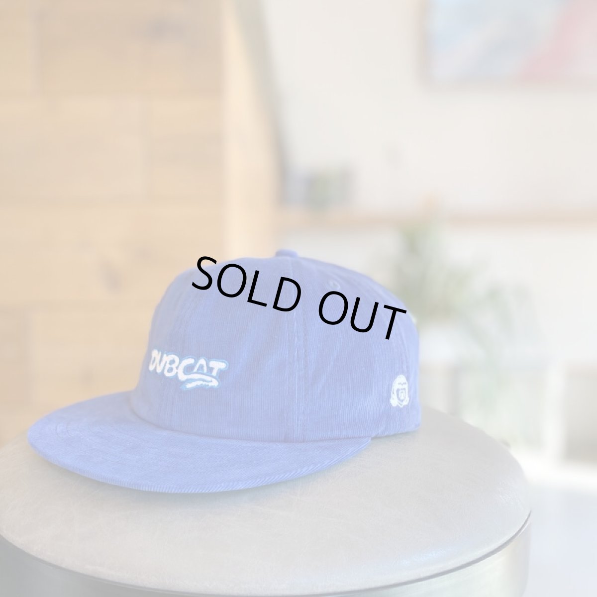 画像3: TACOMA FUJI RECORDS -DUB CAT CAP- (3)