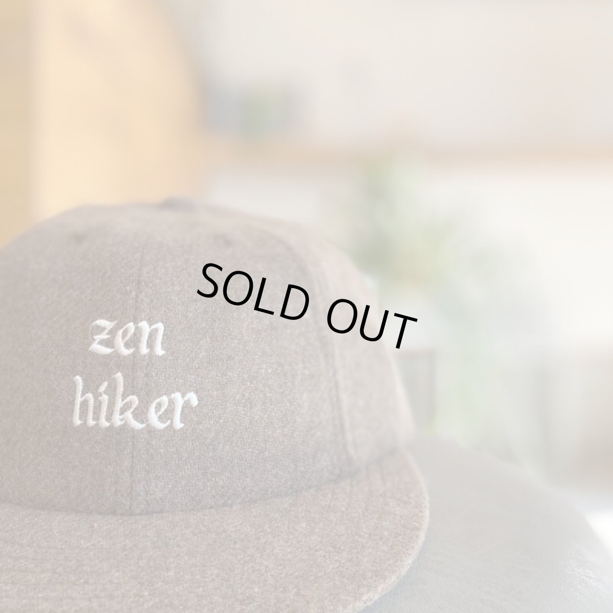 画像1: TACOMA FUJI RECORDS -Zen Hiker CAP- (1)