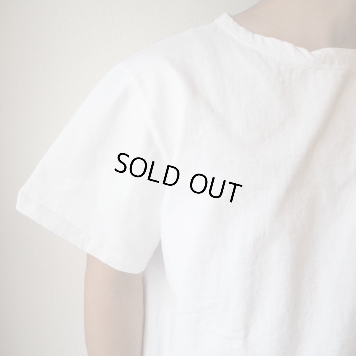 画像13: 【3色展開】-NECESSARY or UNNECESSARY- S/S MAC (13)