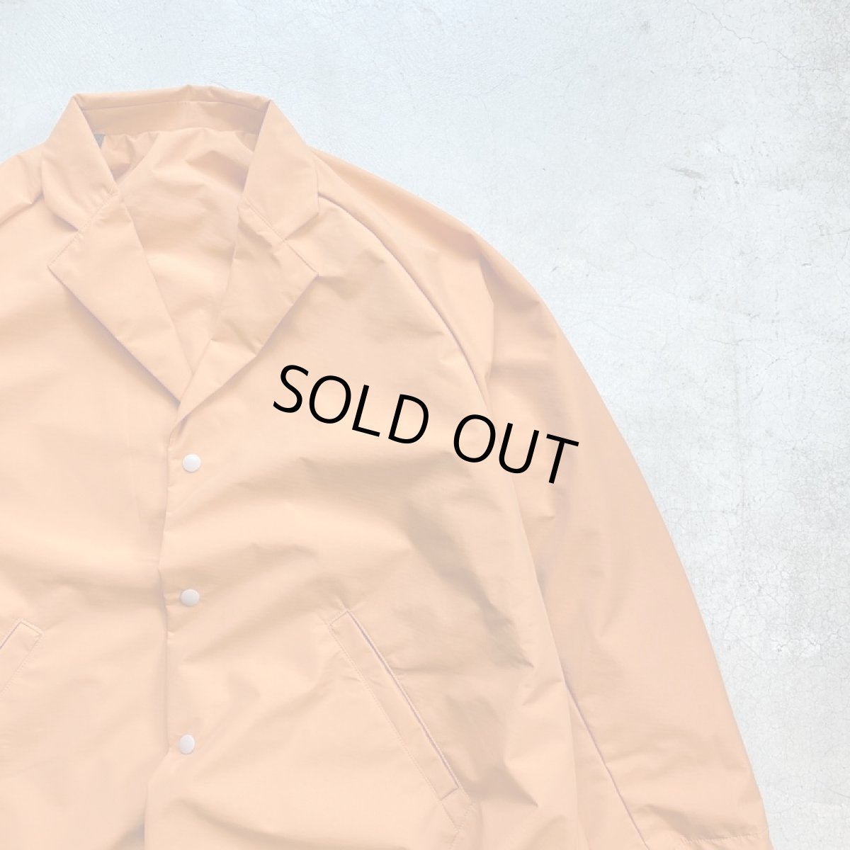 画像3: -TRAINER BOYS- TB TRACK TEAM JACKET (3)