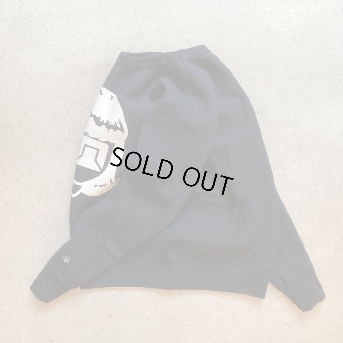 画像12: -TACOMA FUJI  RECORDS- BIG LOGO CREW SWEAT (12)