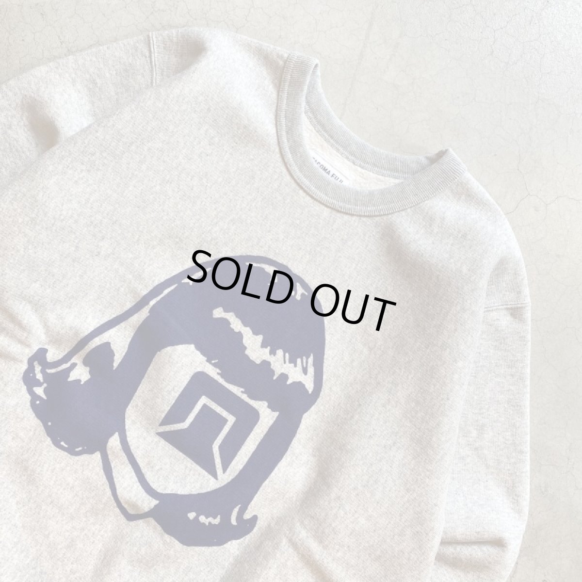 画像4: -TACOMA FUJI  RECORDS- BIG LOGO CREW SWEAT (4)