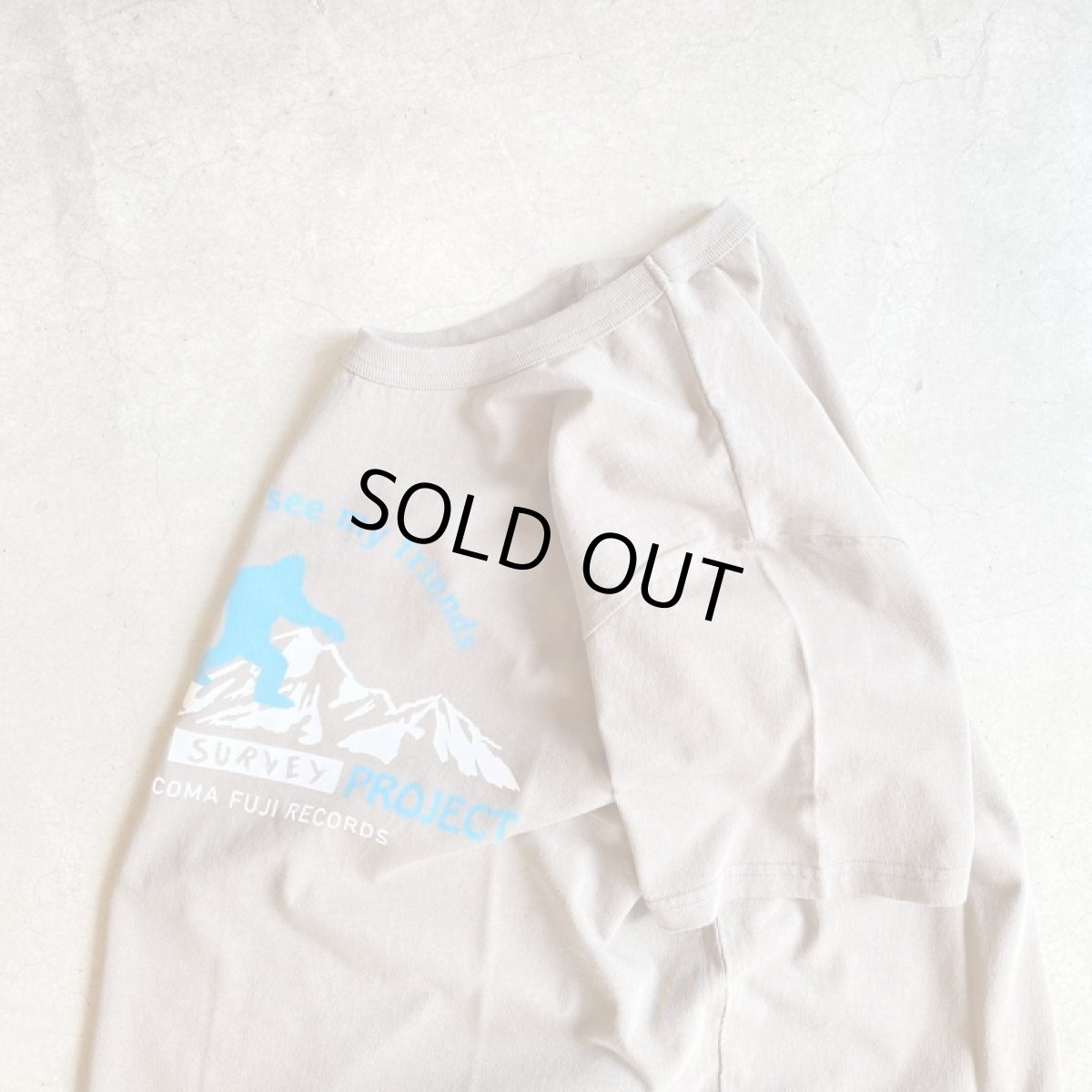 画像11: -TACOMA FUJI  RECORDS- BIGFOOT SURVEY PROJECT my friends  (11)