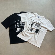 画像1: -TACOMA FUJI  RECORDS- Unknows designed by Noriteru Minezaki (1)