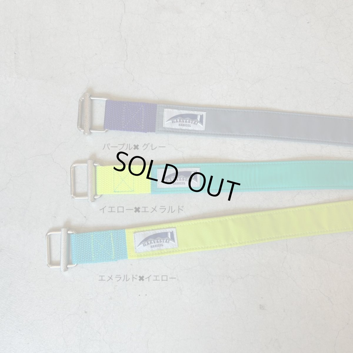 画像2: HARVESTA!HABICOL　丘ベルト (2)