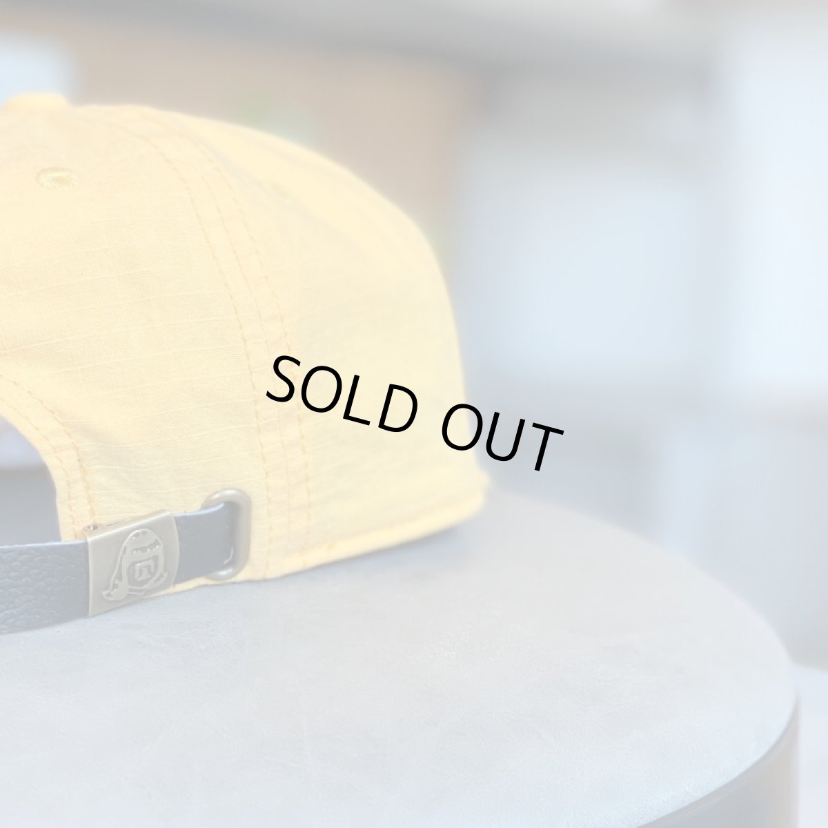 画像5: TACOMA FUJI RECORDS -WABBY&SABBIE CAP '23 -designed by Jerry UKAI (5)