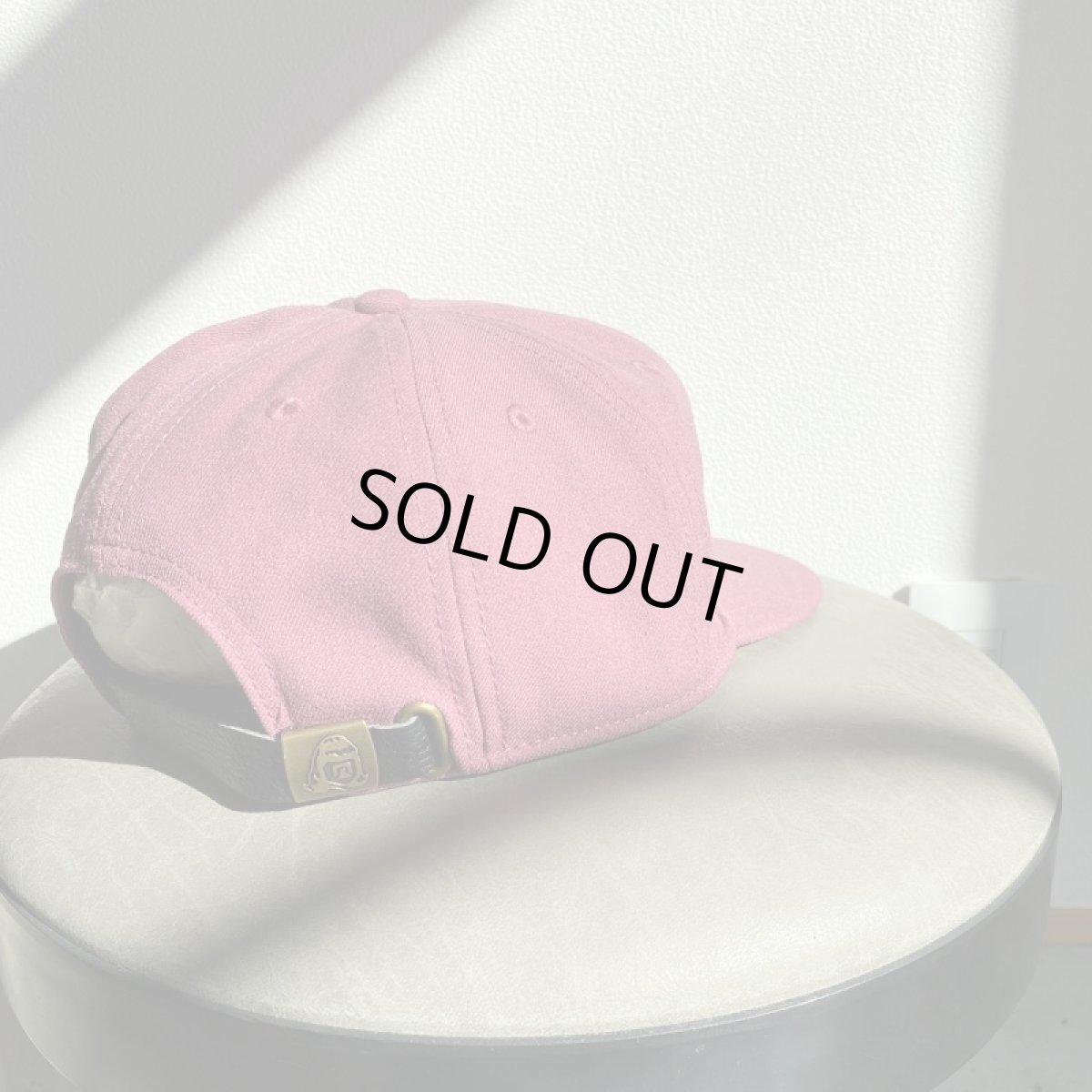 画像3: TACOMA FUJI RECORDS -HOT DOG LOGO '23 CAP- (3)