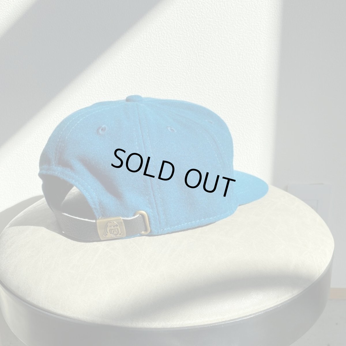 画像3: TACOMA FUJI RECORDS -JURASSIC edition CAP- (3)