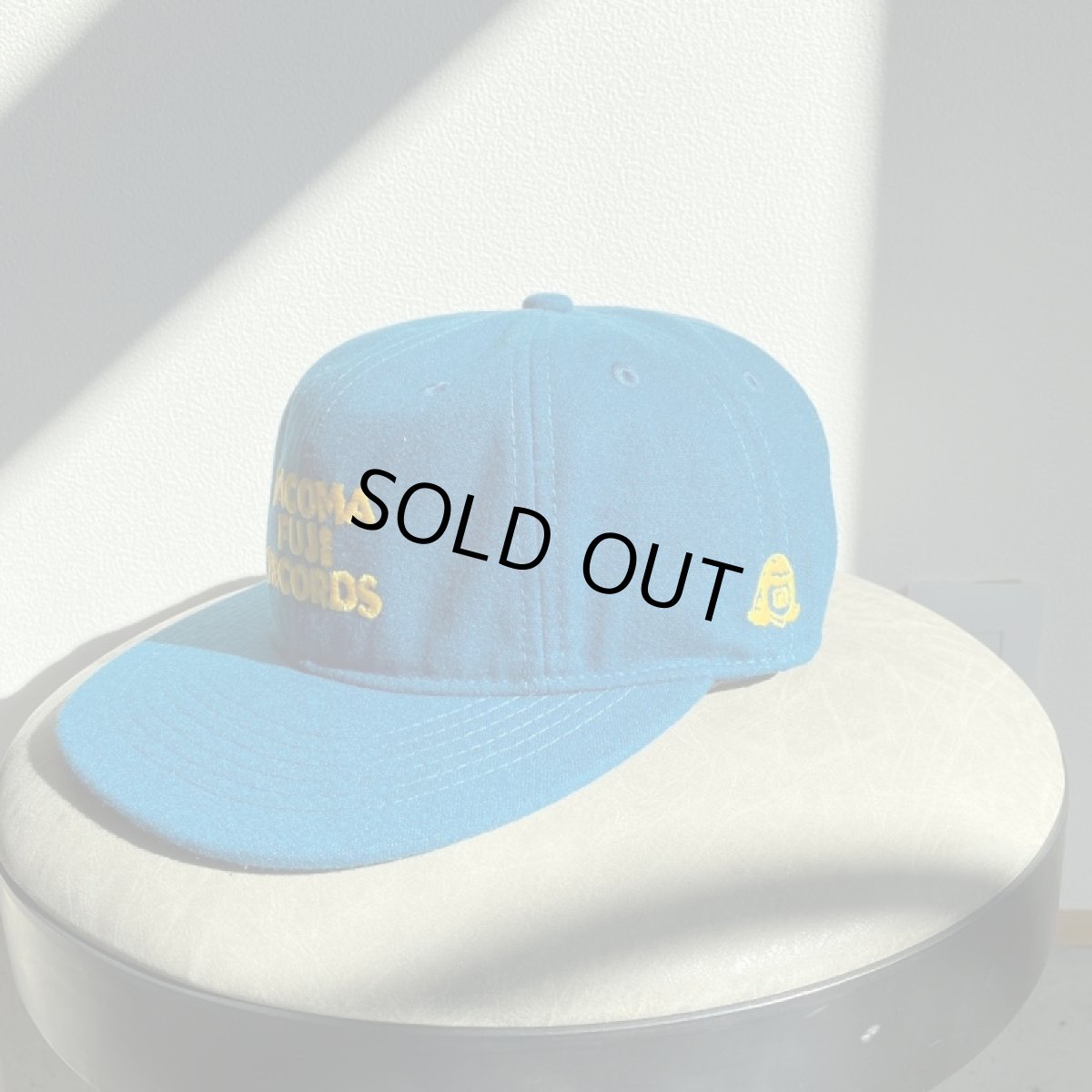 画像2: TACOMA FUJI RECORDS -JURASSIC edition CAP- (2)