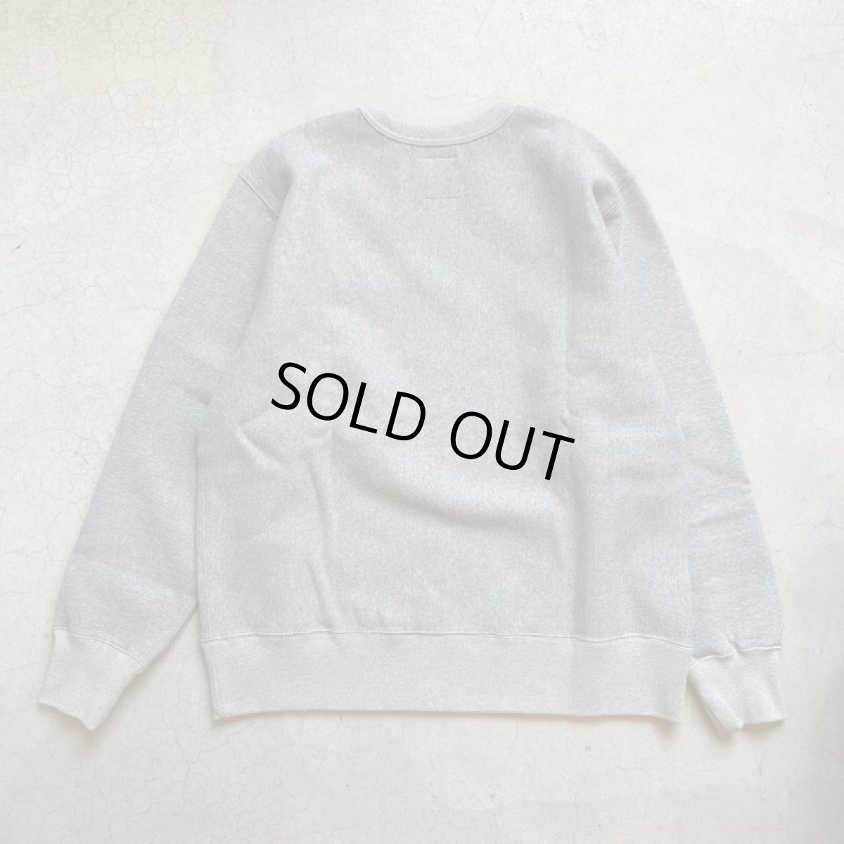 画像4: -TACOMA FUJI  RECORDS- 藝術科学思想自然　SWEATSHIRT (4)