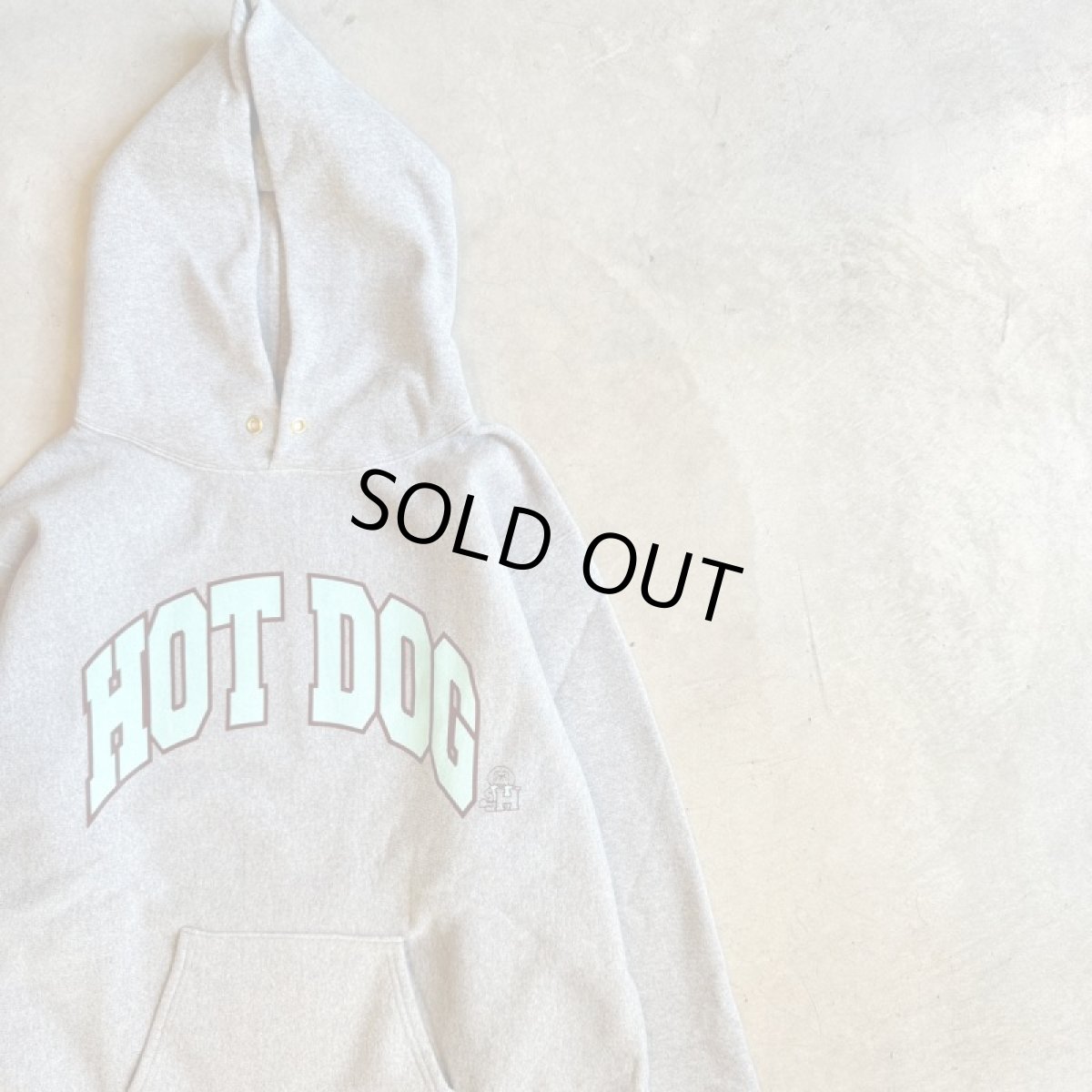 画像2: -TACOMA FUJI  RECORDS- HOT DOG COLLEGE LOGO HOODIE (2)