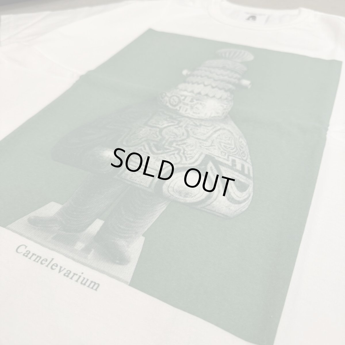 画像4: -TACOMA FUJI  RECORDS- Carnelevarium designed by Takahiro Murahashi (4)