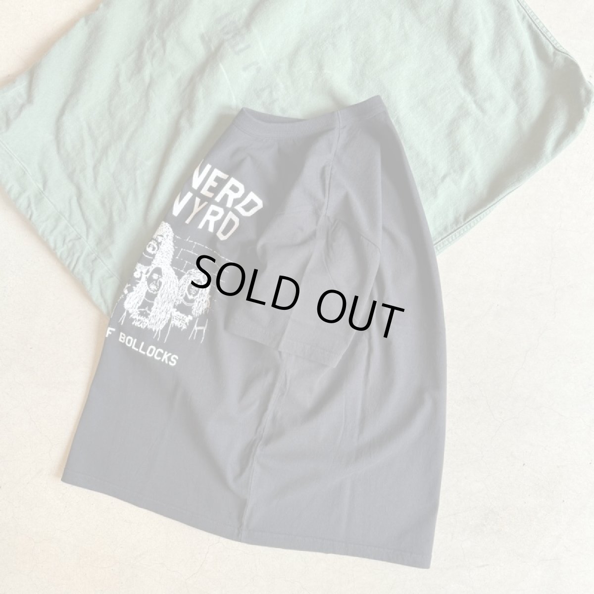 画像3: -TACOMA FUJI  RECORDS- PORNERD SKYNYRD “TROOPERS OF BLLOCKS” Tee designed by Hiroshi Iguchi (3)