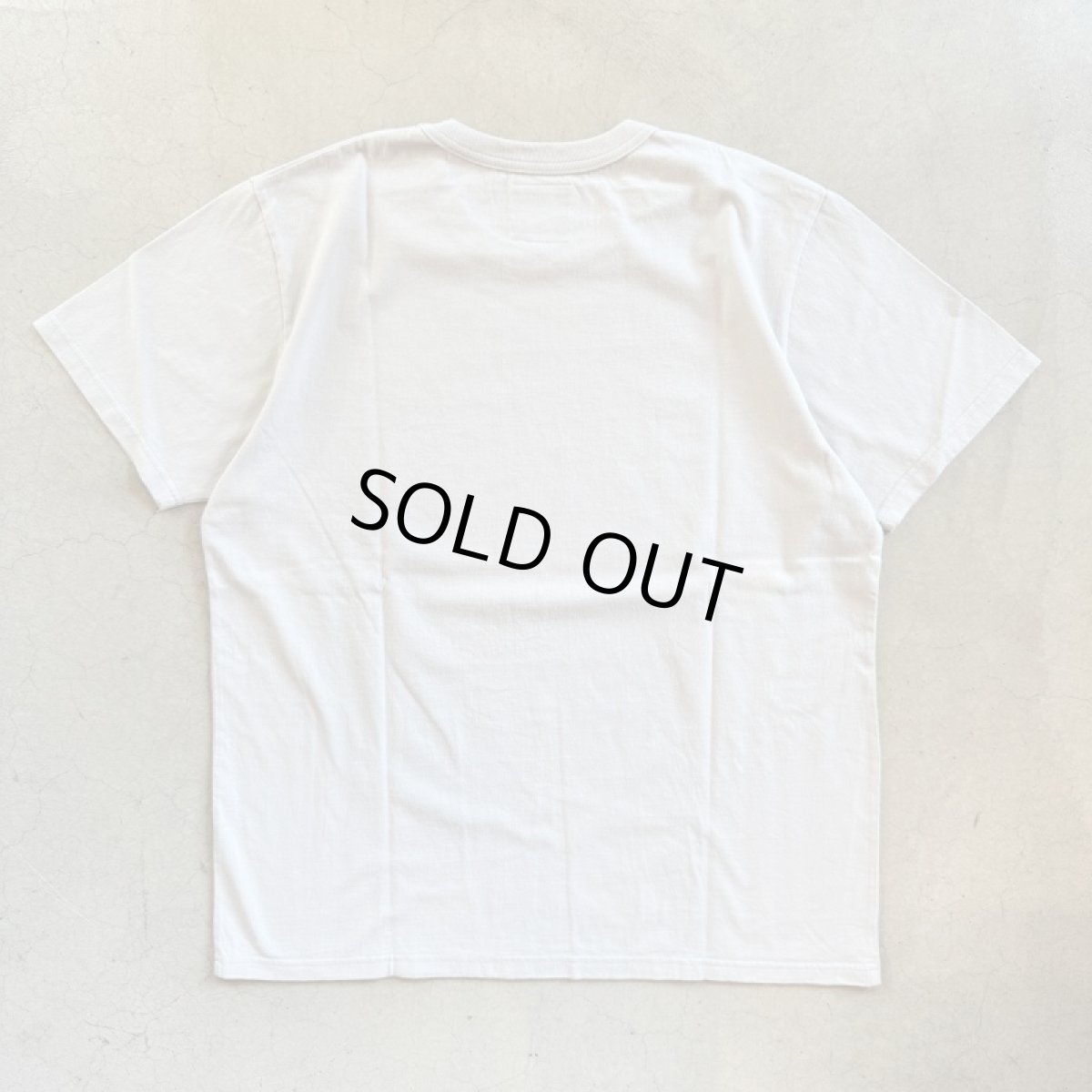 画像4: -TACOMA FUJI  RECORDS- HALLELUJAH FOR BEER designed by Shuntaro Watanabe (4)