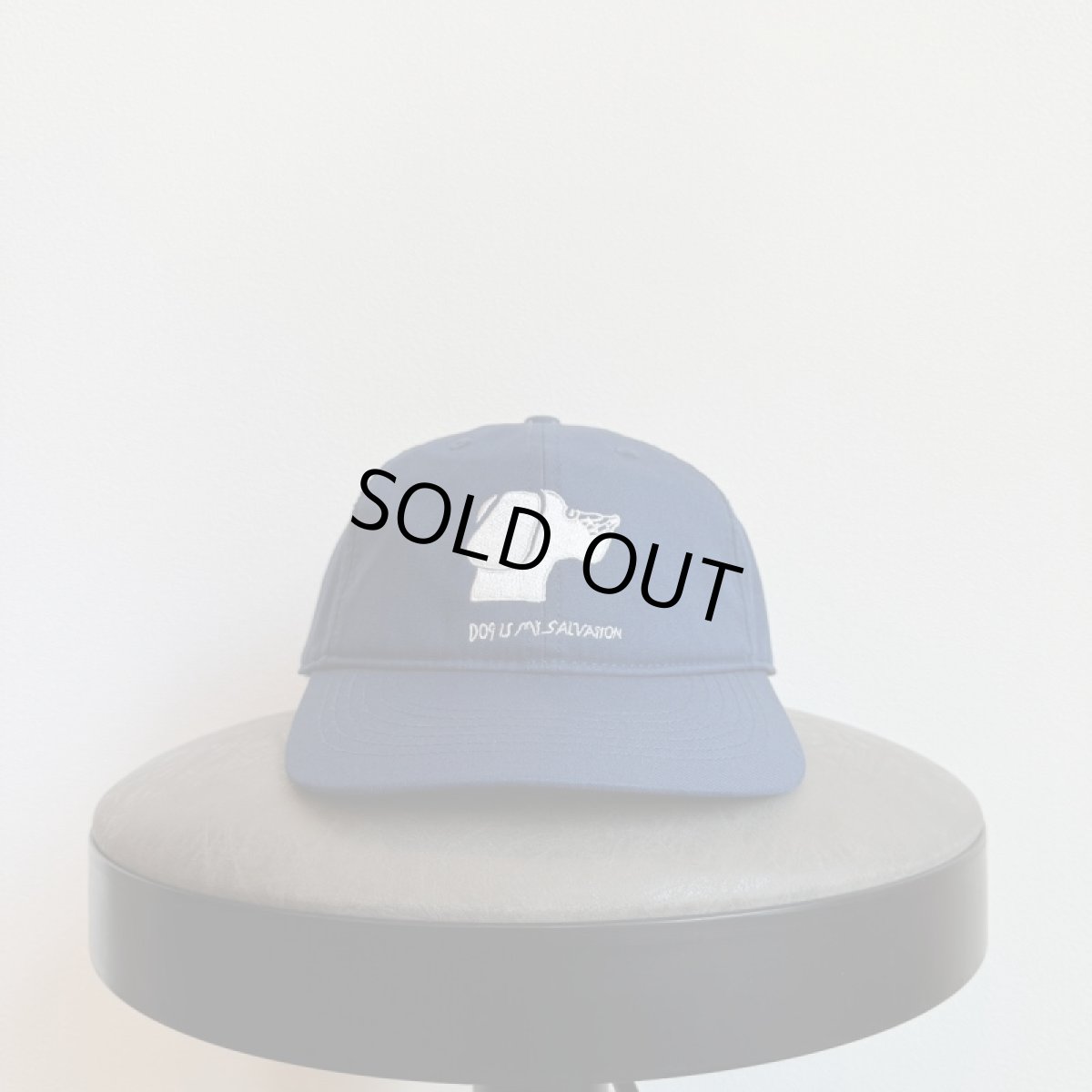 画像1: TACOMA FUJI RECORDS -DOG IS MY SALVATION CAP- (1)