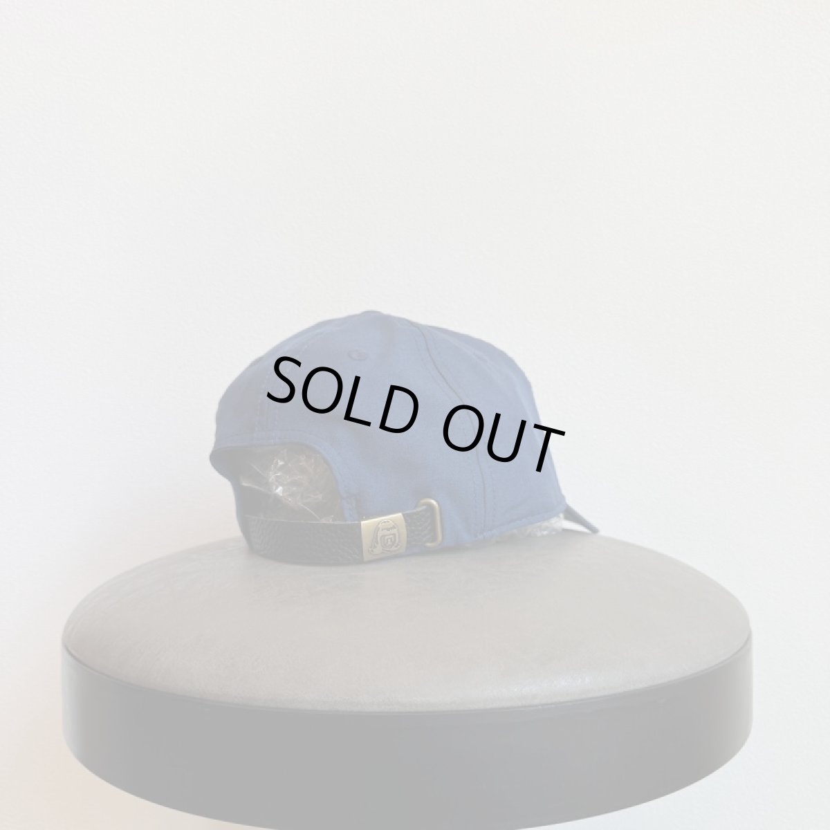 画像4: TACOMA FUJI RECORDS -DOG IS MY SALVATION CAP- (4)