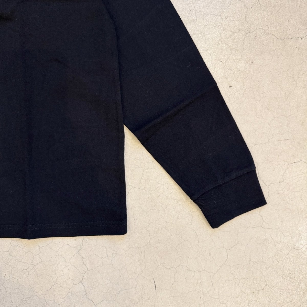 画像5: -TACOMA FUJI  RECORDS- DOG IS MY SALVATION L/S (5)