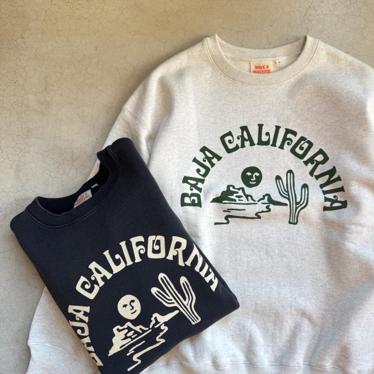 画像1: -HAVE A GRATEFUL DAY- SWEAT SHIRTS "BAJA CAL" NATURAL GRAY (1)