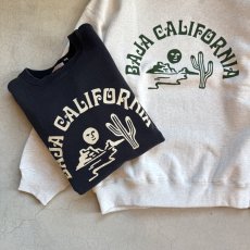 画像3: -HAVE A GRATEFUL DAY- SWEAT SHIRTS "BAJA CAL" NATURAL GRAY (3)