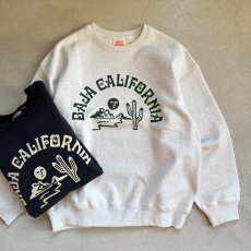 画像4: -HAVE A GRATEFUL DAY- SWEAT SHIRTS "BAJA CAL" NATURAL GRAY (4)