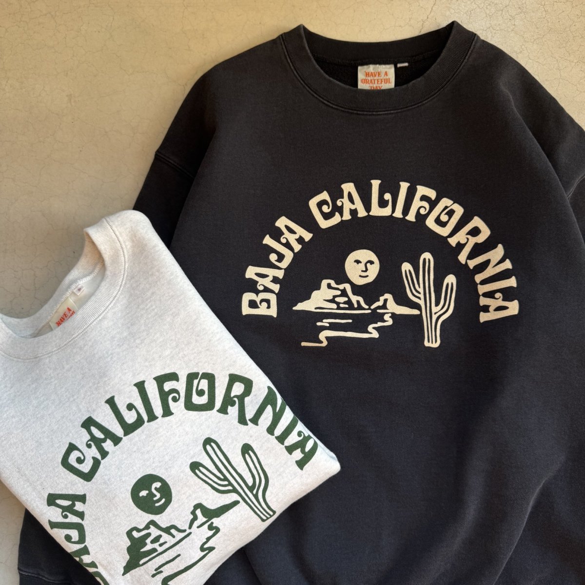 画像1: -HAVE A GRATEFUL DAY- SWEAT SHIRTS "BAJA CAL" VINTAGE BLACK (1)