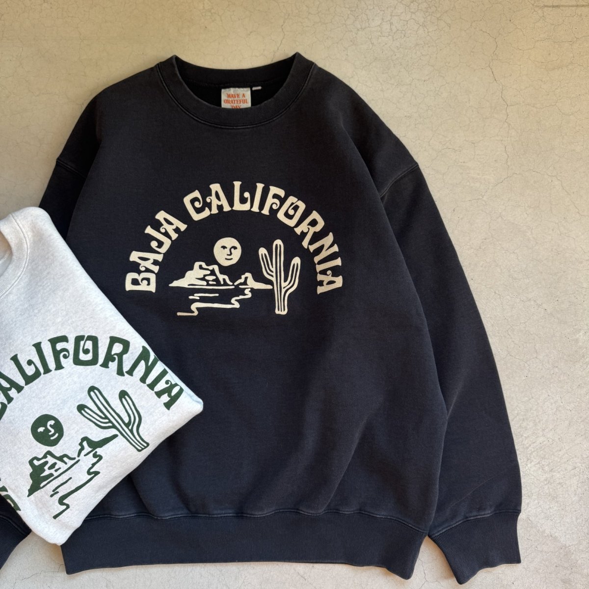 画像4: -HAVE A GRATEFUL DAY- SWEAT SHIRTS "BAJA CAL" VINTAGE BLACK (4)