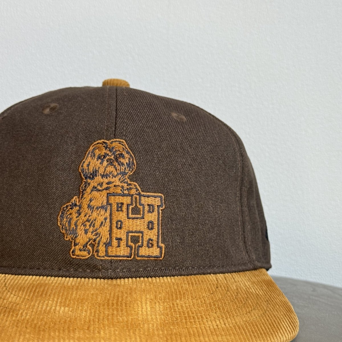 画像1: TACOMA FUJI RECORDS -HOT DOG VNTG LOGO CAP- BROWN (1)